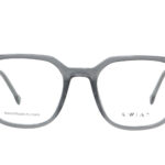 K 10019 D