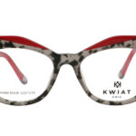 KS CH 9067 C frame