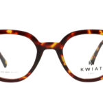 KS CH 9112 E Frame