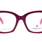 KW CH 9042 B