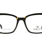 KW CH 9064 C