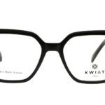 KW CH 9081 A